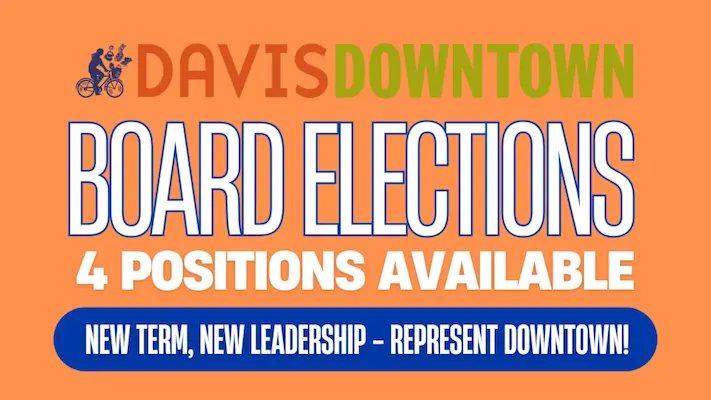 board_Elections (1) Board