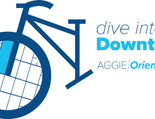 Dive Into Downtown Fall 2024